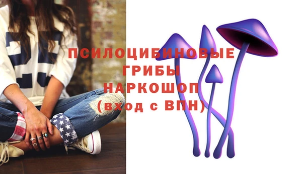 герыч Алексин