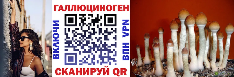 Галлюциногенные грибы ЛСД Сыктывкар